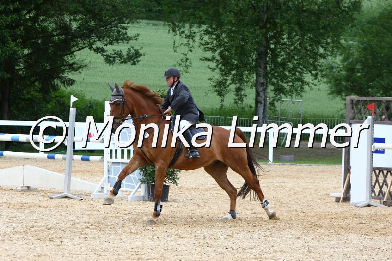 006M7287_Spring L.JPG